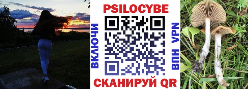 Галлюциногенные грибы прущие грибы Белая Холуница