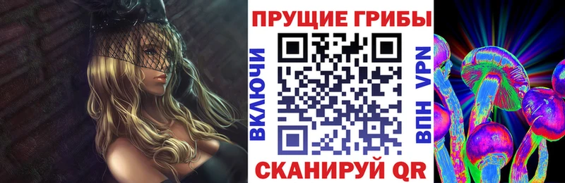 купить закладку  площадка состав  МЕГА рабочий сайт  Галлюциногенные грибы Cubensis  Белая Холуница 